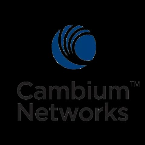 cambium